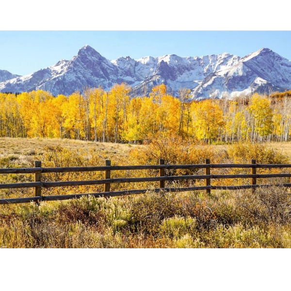 Rocky Mountain Fall Scene